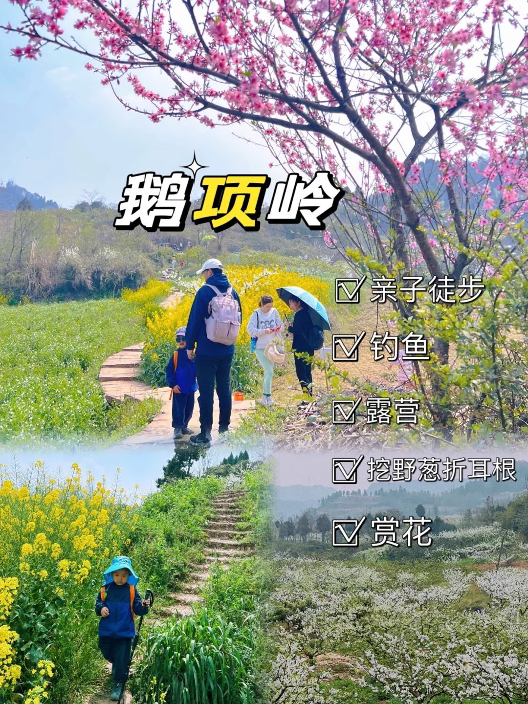 南门出发0.5h二刷‼️亲子徒步赏花打野鹅项岭