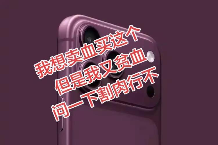好看真是好看，贵也是真贵呀iphone紫色