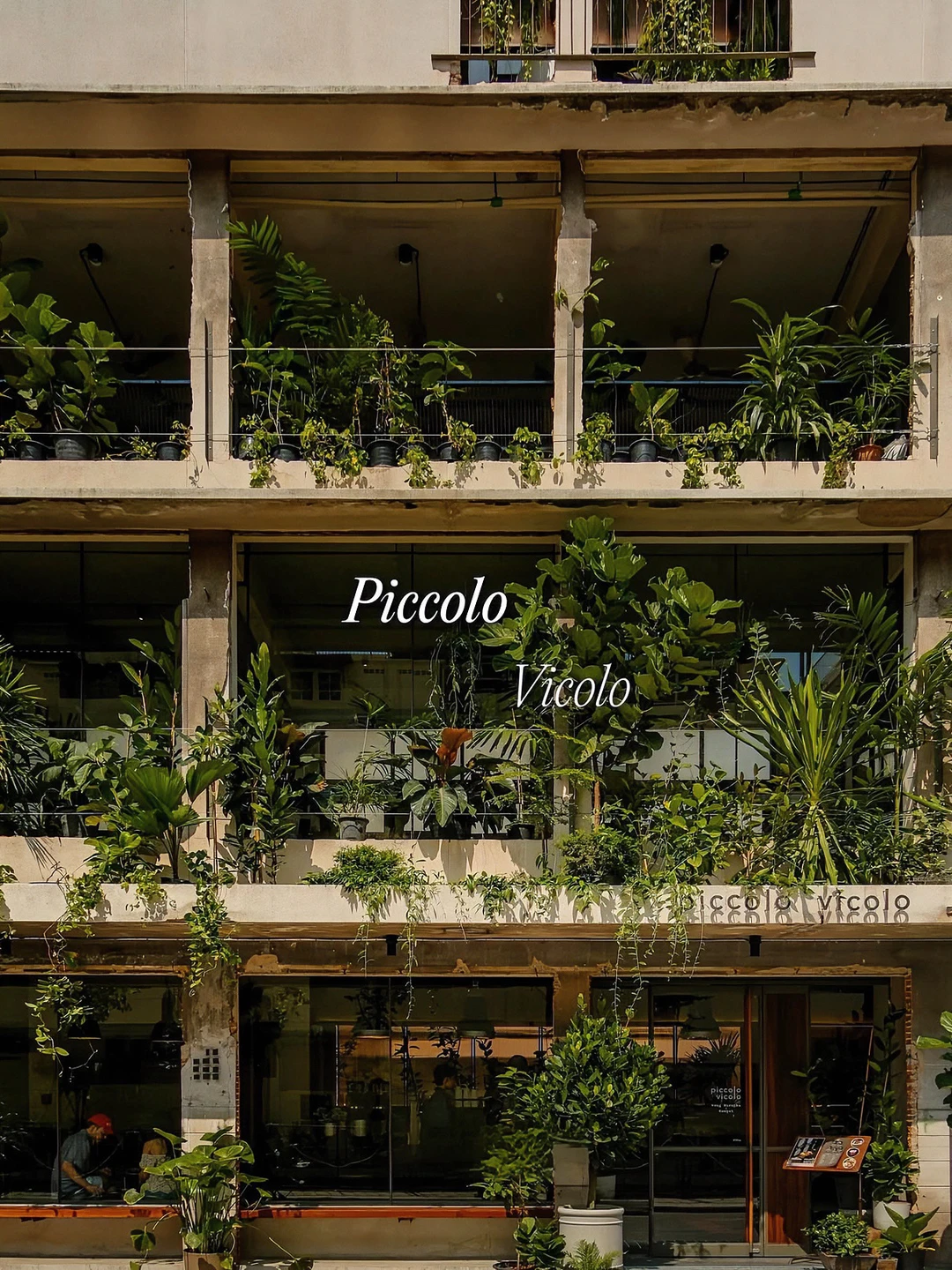 🍃我最爱的曼谷森林咖啡店竟然还是Airbnb！