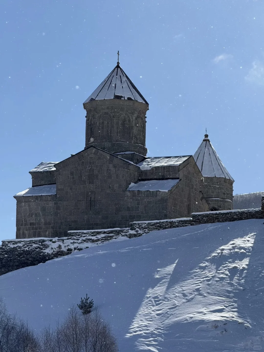 格鲁吉亚已回（已被宰内容很脏，却很真..