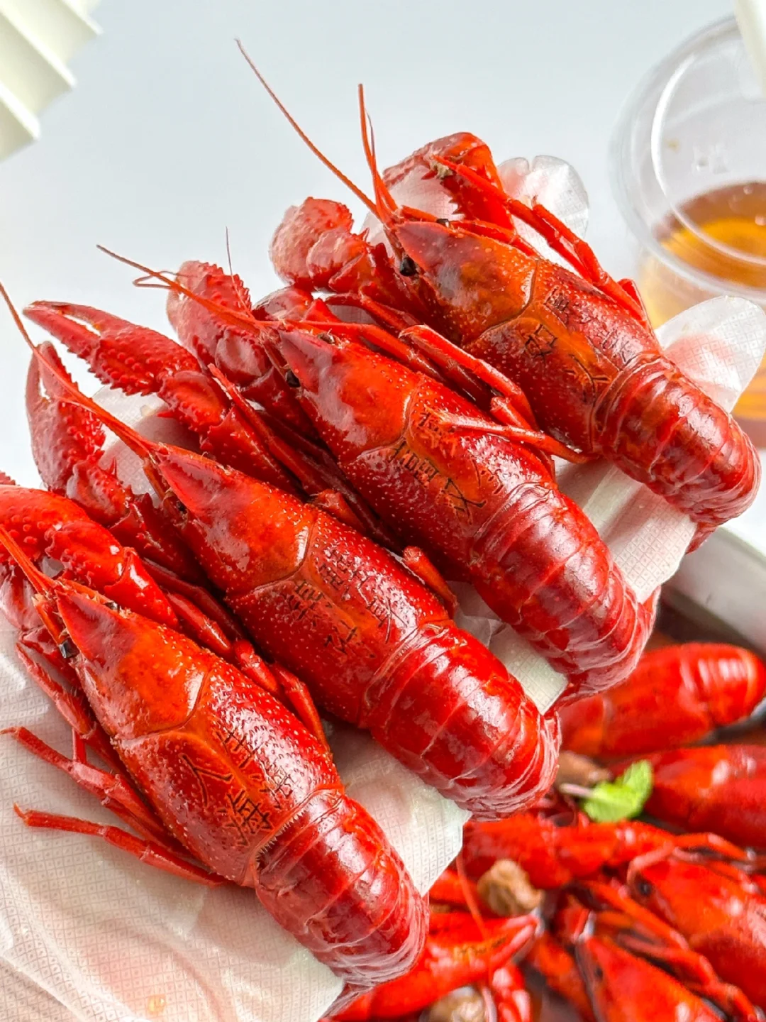 今年的第一顿小龙虾你们吃了吗！！！