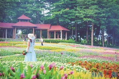 【厦门植物园、园博苑推出中秋国庆主题活动　博饼赏花游园 丰富您的假期】...
