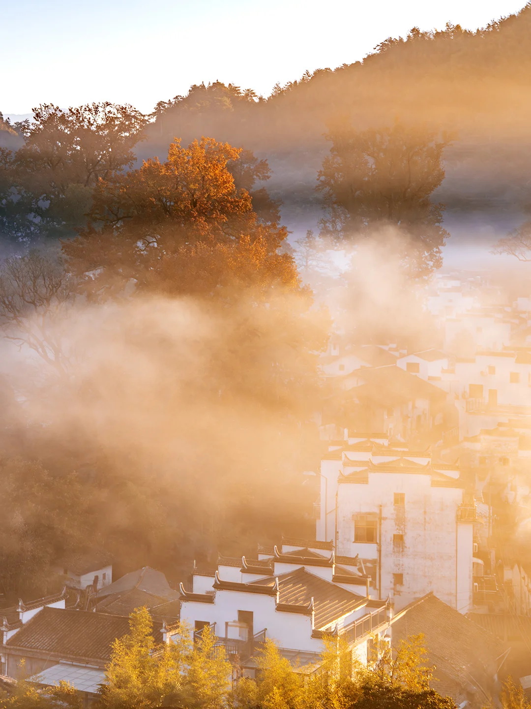 国内晚秋天花板，这里才能叫光影天堂吧！