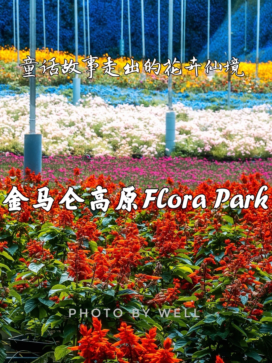 金马仑高原Flora Park——童话故事般的花卉园