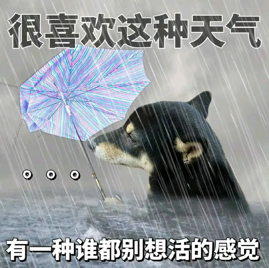 打工人下雨天上班表情包