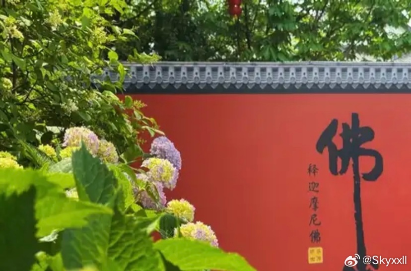 四川除了乐山大佛，还有一座荣县大佛。
乐山大佛在唐朝时开凿，是世界上最大的石刻弥勒佛坐像。乐山大佛的海内外知名度，源于当年刘晓庆参演的一部电影《神秘的大佛》。
荣县大佛位于四川省自贡市荣县，是一尊唐代开凿的释迦摩尼摩崖石刻大佛，是世界上第一大释迦摩尼佛石刻佛像。
在佛教里，荣县大佛 ​