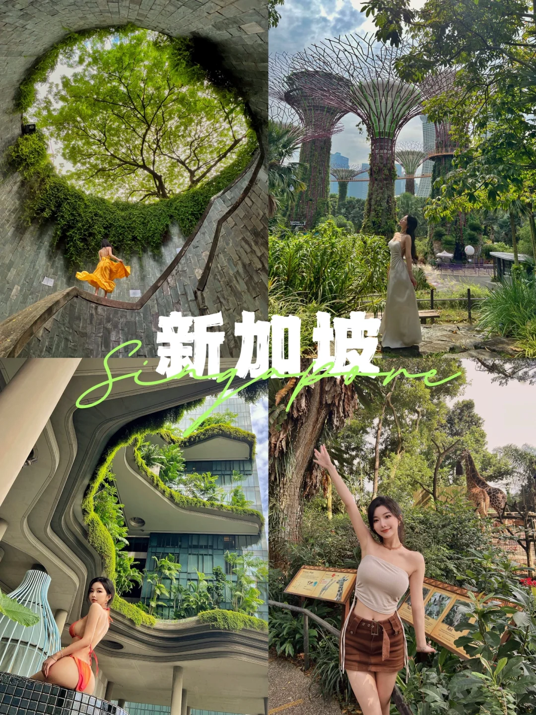 6月旅行｜新加坡五天四夜保姆级旅游攻略🍃