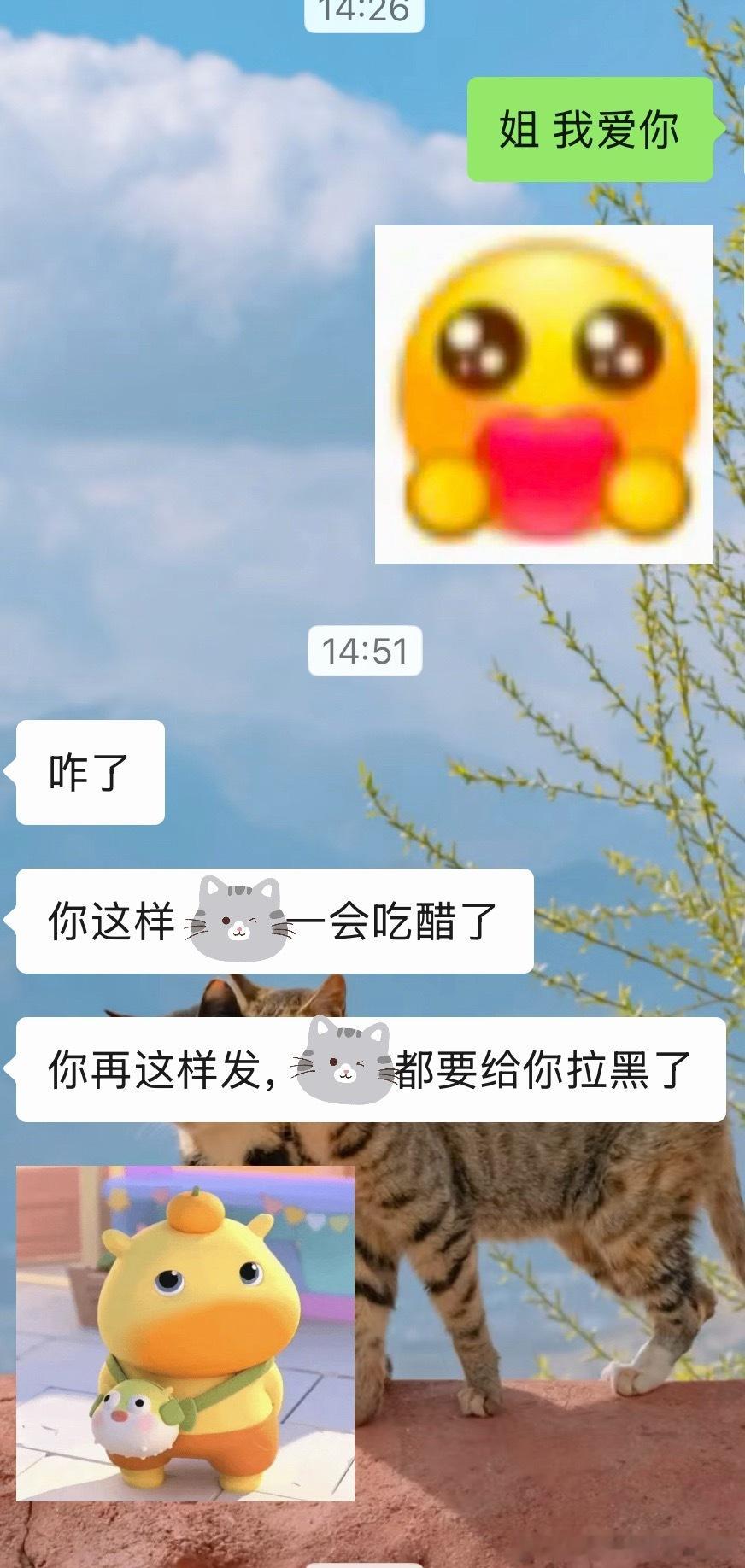 中午看到这的时候我很受触动，感觉心里也有满满的爱意想要找个人抒发一下。
然后我就发给我觉得唯一能发这句话的姐。
哎。
然后姐把我的表白发给了她对象，她对象说我爱你这种话只能她俩说。
啧
啧啧
我真是多余发。
我跟我姐在我看来是“相依为命”长大的，我们两个留守儿童，一起上学一起放学，我记 ​