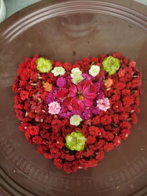 你怎么看？打工族“临时夫妻”，各有家庭却搭伙过日子！   今天是个好日...