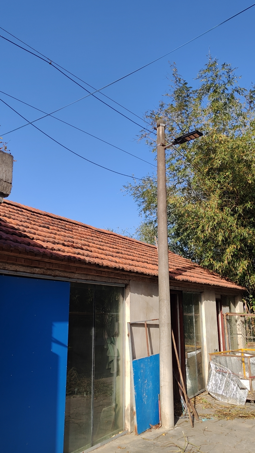 因老人是岁月沉淀的智慧库。他们历经风雨，积累了丰富的生活经验，遇事能...