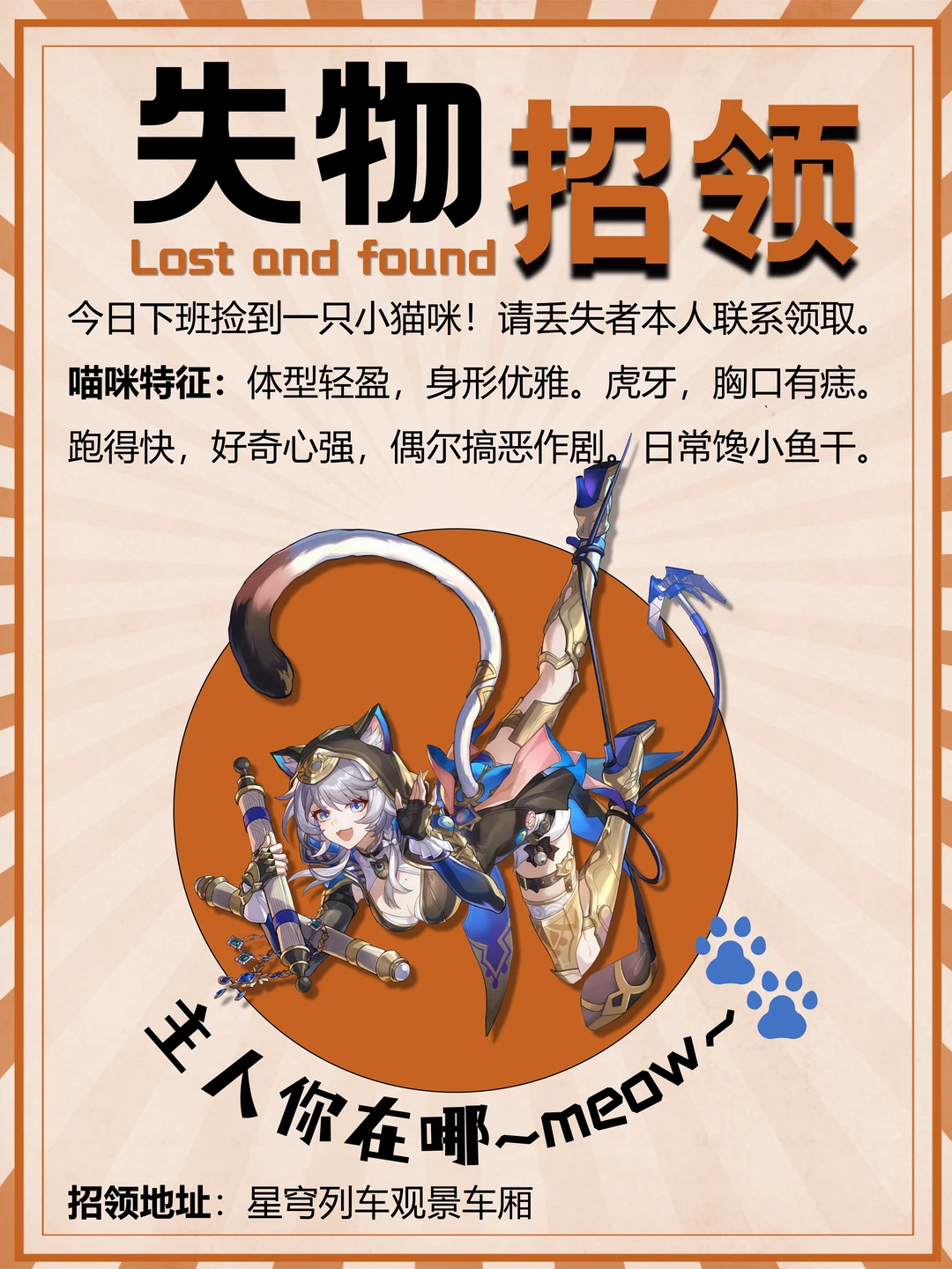 失物招领，今天捡到一只小喵咪🐱