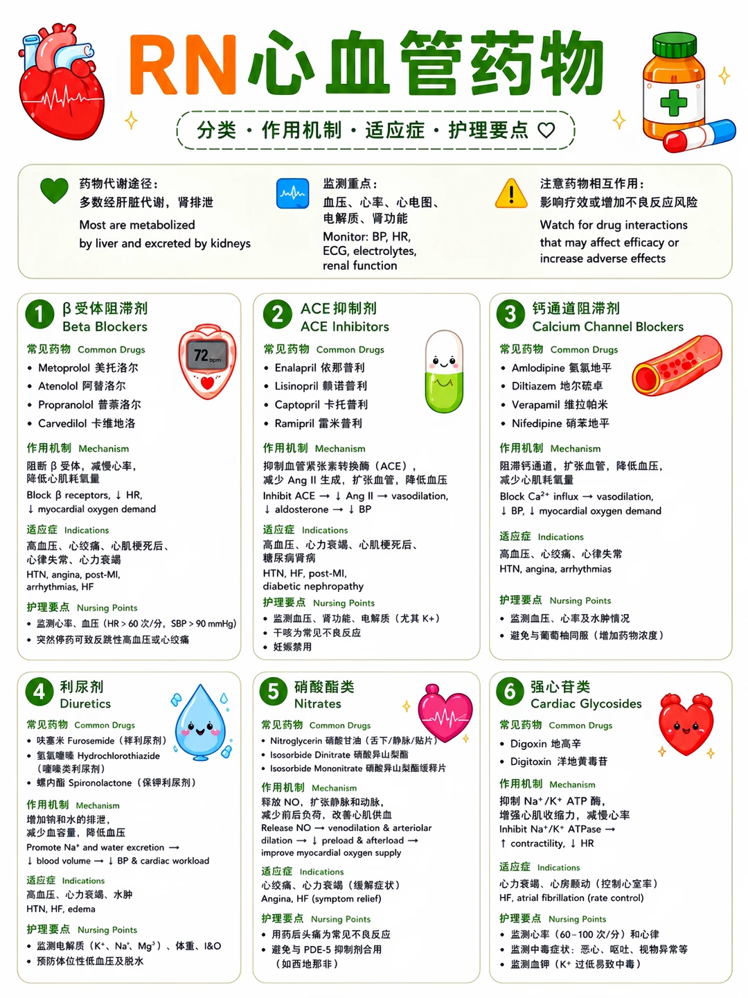 备考RN/心血管类药物！学！！单词