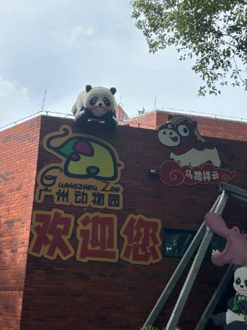 动物园里有什么🐒🦛🦒🫎🦁🐍