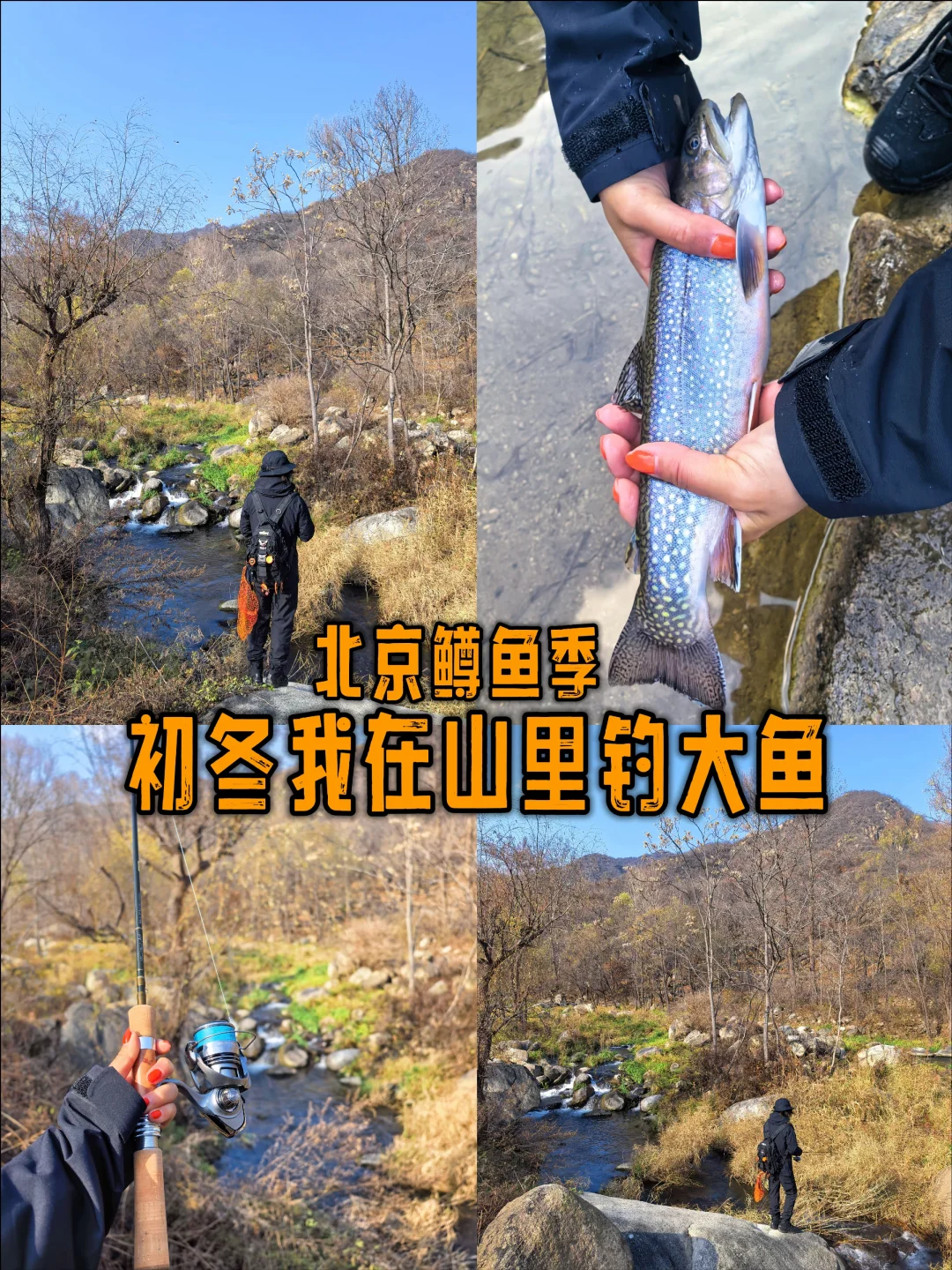 鳟鱼季路亚:买断一天的自由与心跳