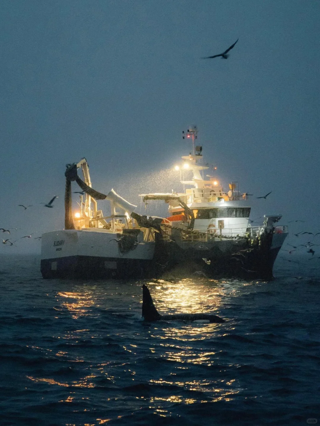 世界的每一个角落都是冒险！📸🗺️✨