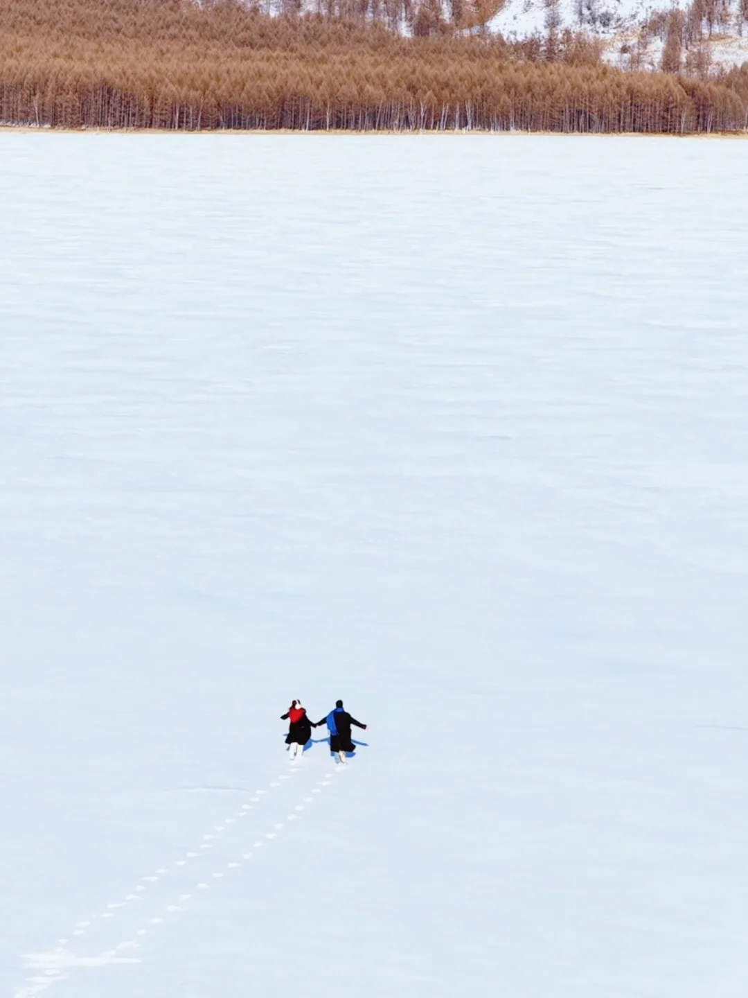 比东北人少，比新疆便宜的小众观雪地❄️