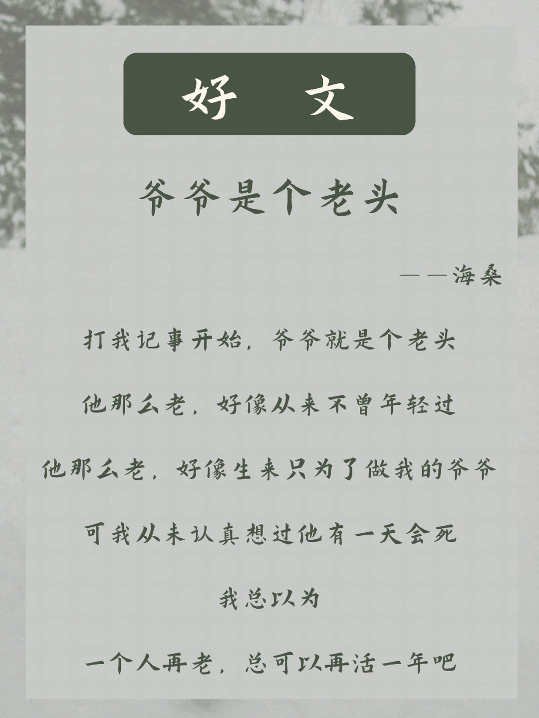泪目 | 一个人再老，总可以再活一年吧