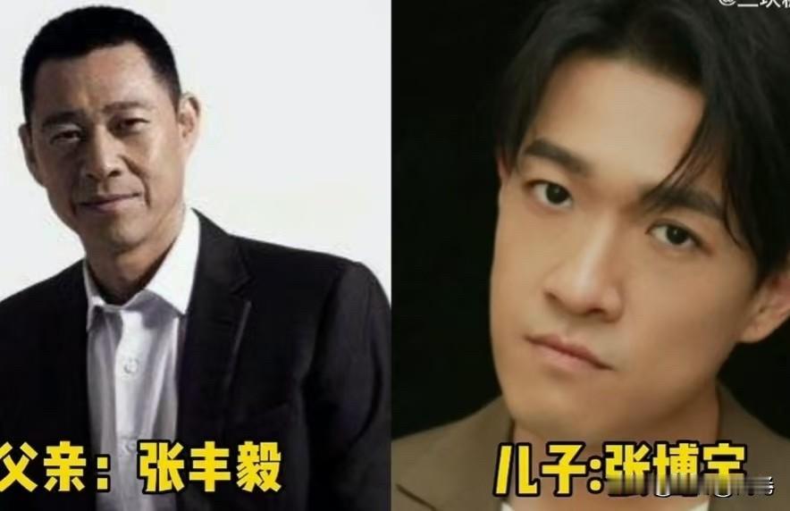 这组“星二代”父子照，不得不感叹，基因真的是个神奇的东西，但更神奇的是，这些“星二代”有的选择了继承父业，有的则走出了自己的路。

向华强和向佐，父亲是香港影坛大佬，向佐靠自己一拳一拳打进了电影圈，练出一身腱子肉。
陈佩斯和陈大愚，父亲是喜剧大师，儿子子承父业，也演话剧和喜剧，低调踏实。
张艺谋和张