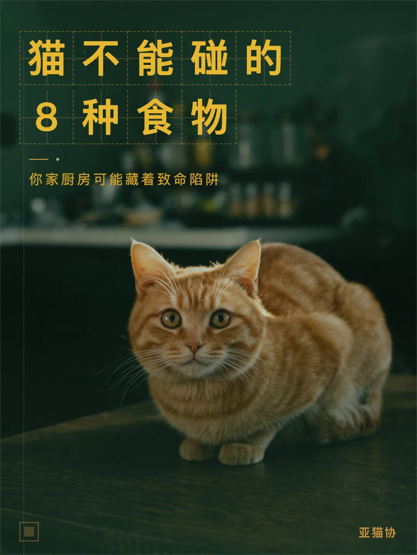 这8种食物猫碰都不能碰｜最后一个很多人喂