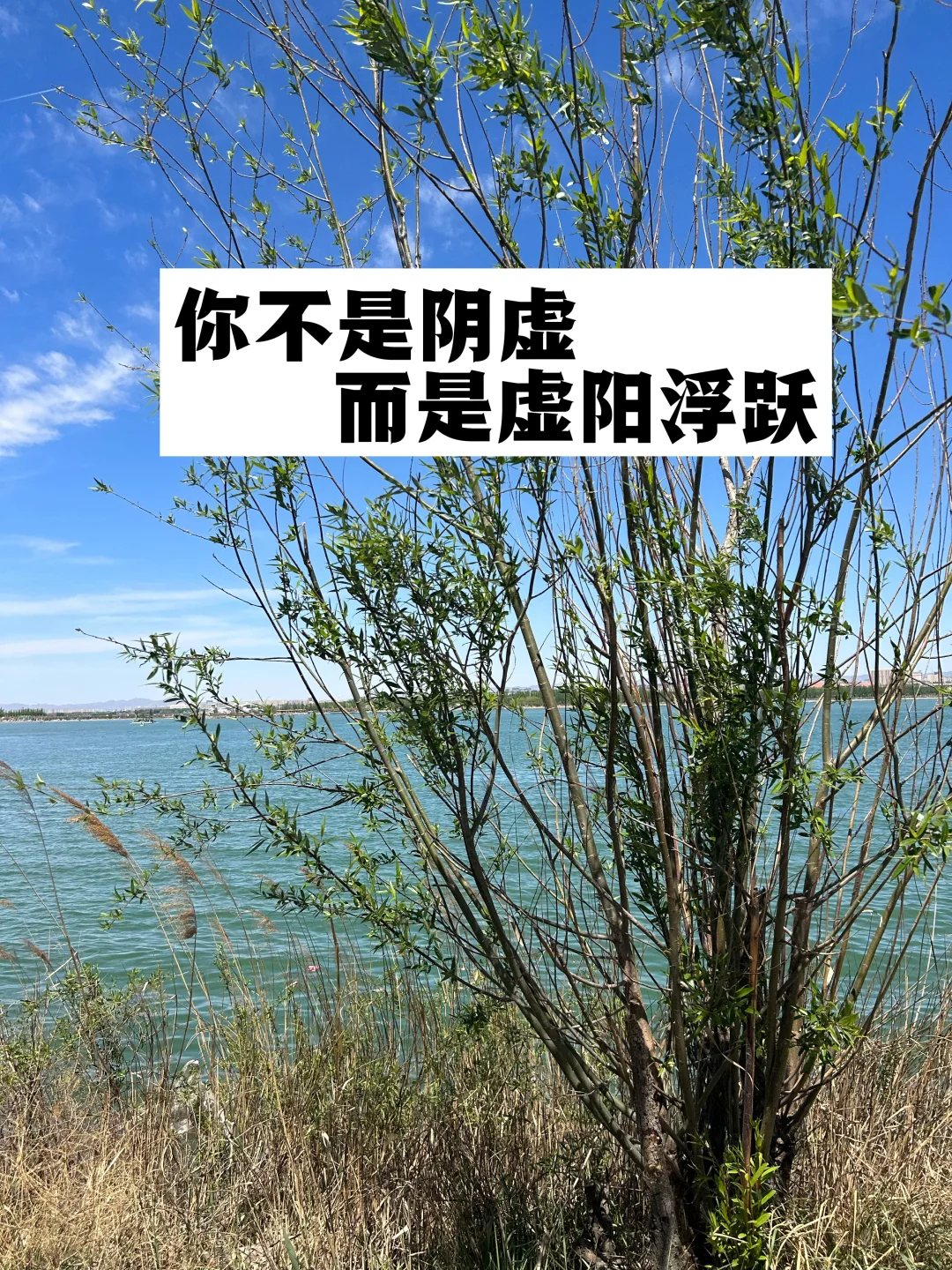 你不是阴虚，而是虚阳浮跃.
