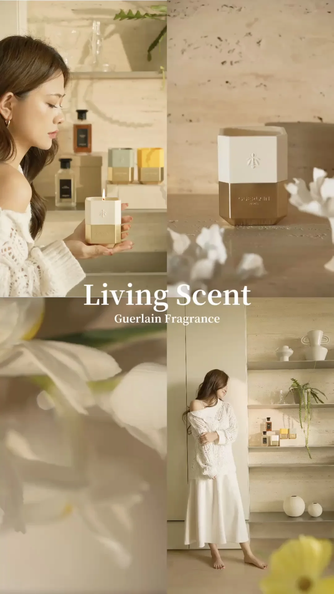 居家收藏家| 让春日能量自然流淌🌿