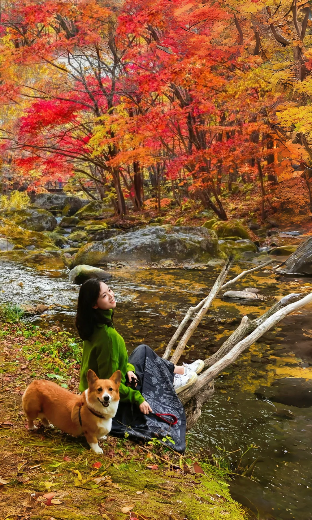 全屏封神‼️不输国外🍁这里的秋打翻了颜料盘