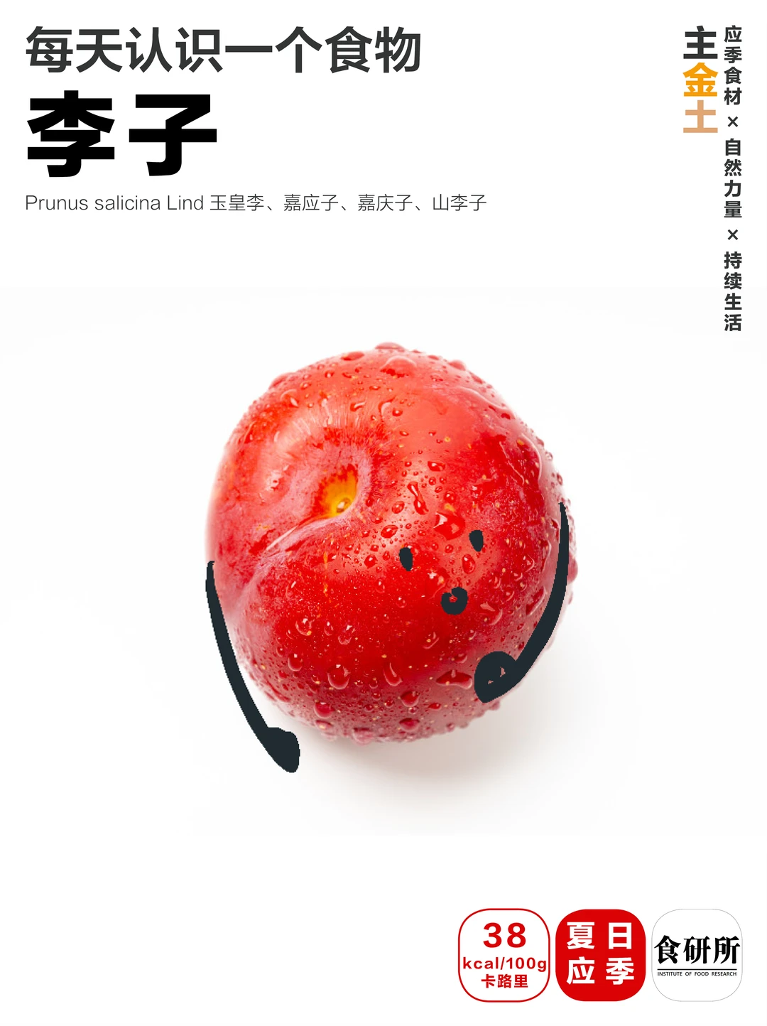 🍨李子哪里不能吃？