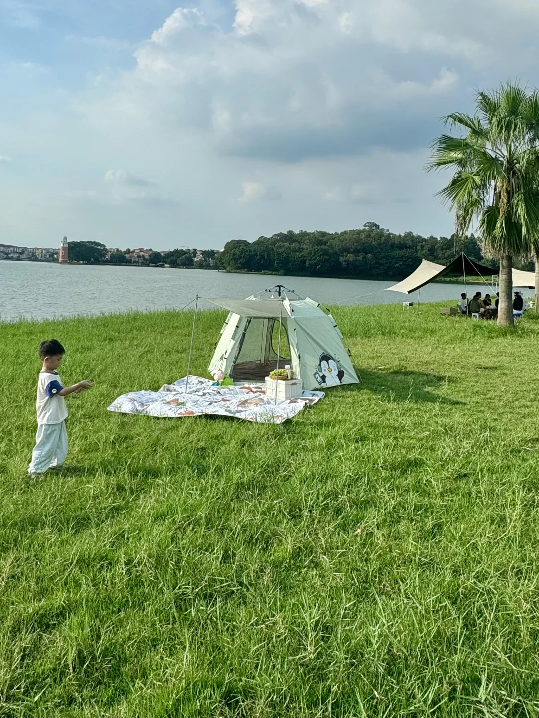 开车直达🚗佛山这个露营地也太舒服了❗