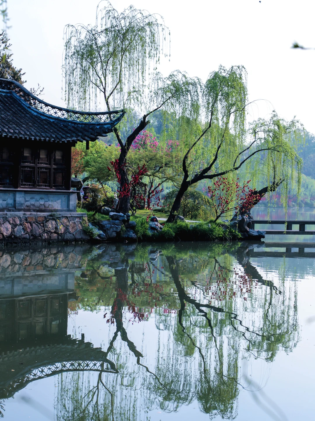 别样游瘦西湖，探民国悬案《你猜》‼️