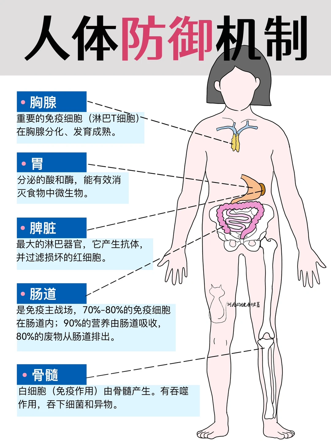 小🐑卷土重来‼️免疫力菜鸟速来补课