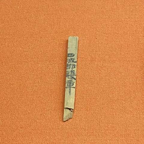 红袍萤火虫XV