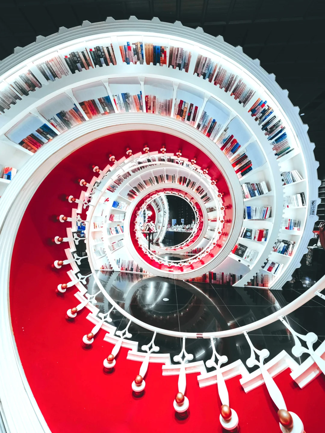 深圳拍照丨在“知识的风暴”里拍出震撼大片📚