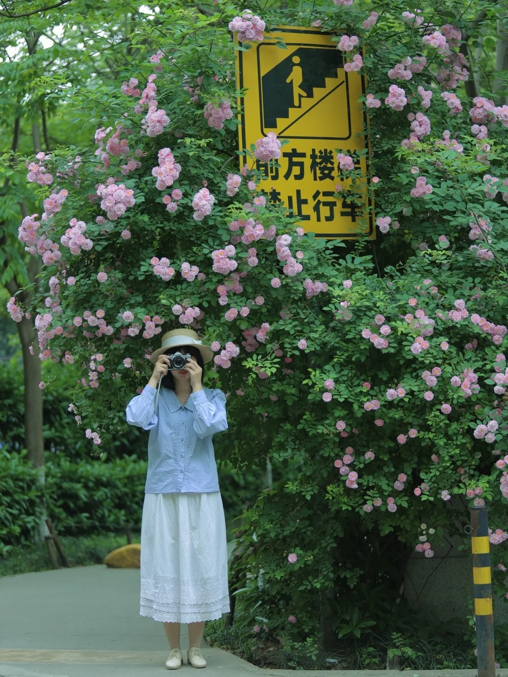 武汉蔷薇花墙/日系电影感宝藏拍照打卡地！
