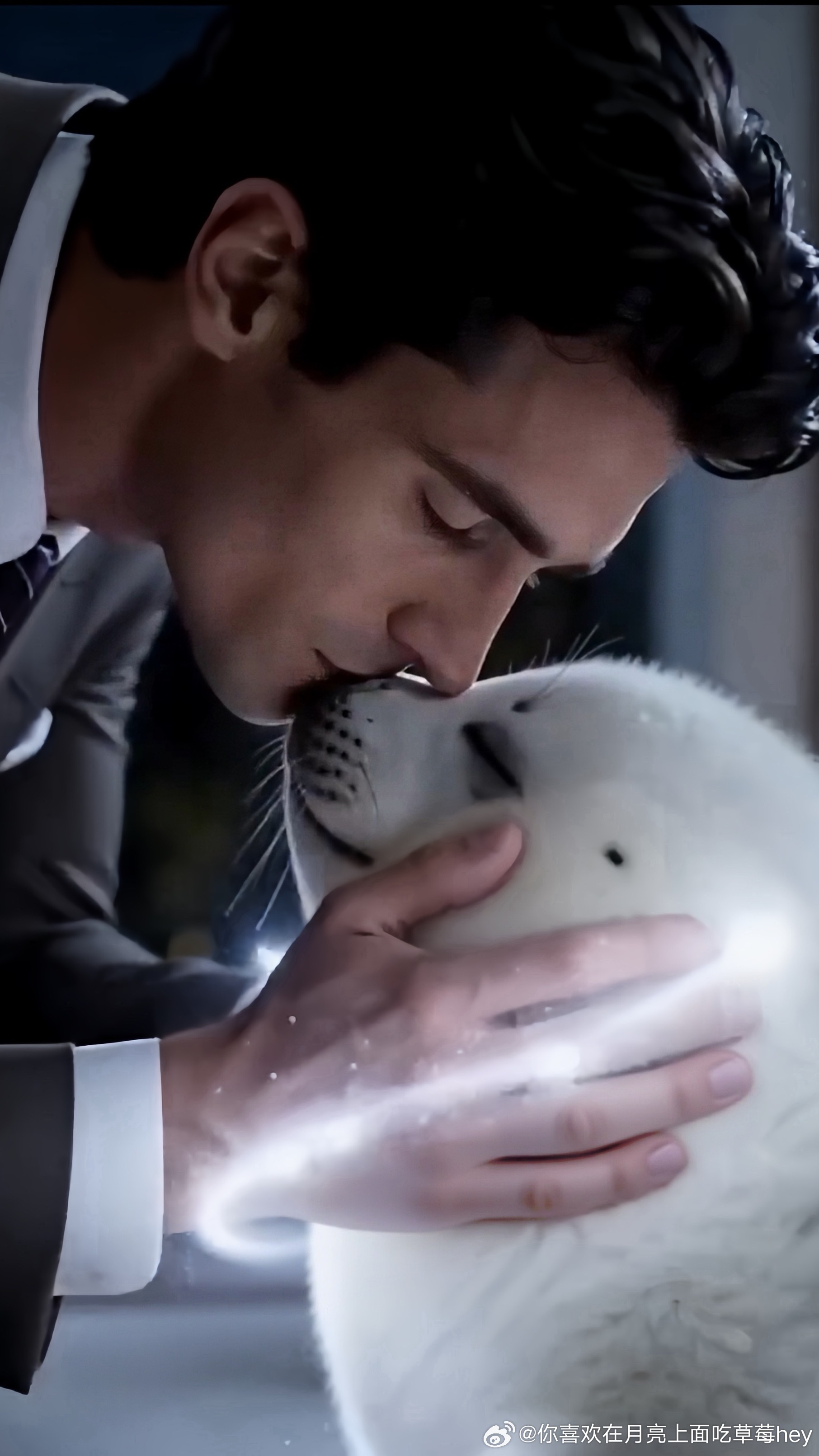 #短剧# 海外Ai剧（bl）｜When the CEO loves a seal*当男人爱上海豹

📖剧情简介：

Vincent刚从新闻上看到有一只海豹从动物园里逃走了 下一秒就在停车场里碰上了一只毁掉他礼物的小海豹！并且小海豹还会说人话 对一切都充满了好奇~

就在Vincent想把它送回动物园时 意外发生了！两人来不及反应的一 ​