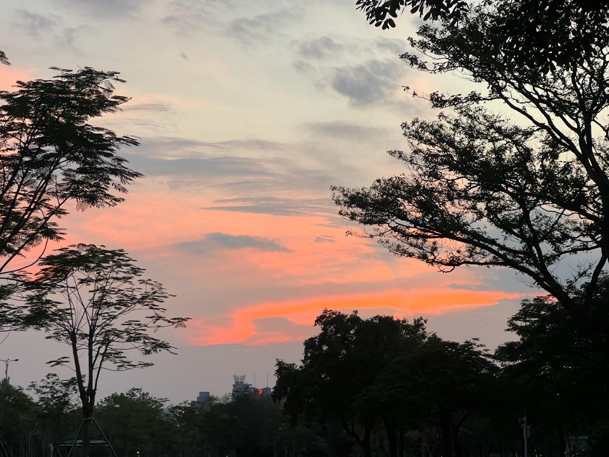 今天好热🫠晚霞很美啊二沙岛蚊子好多长这么大第一次划火柴点蚊香大晚上户...