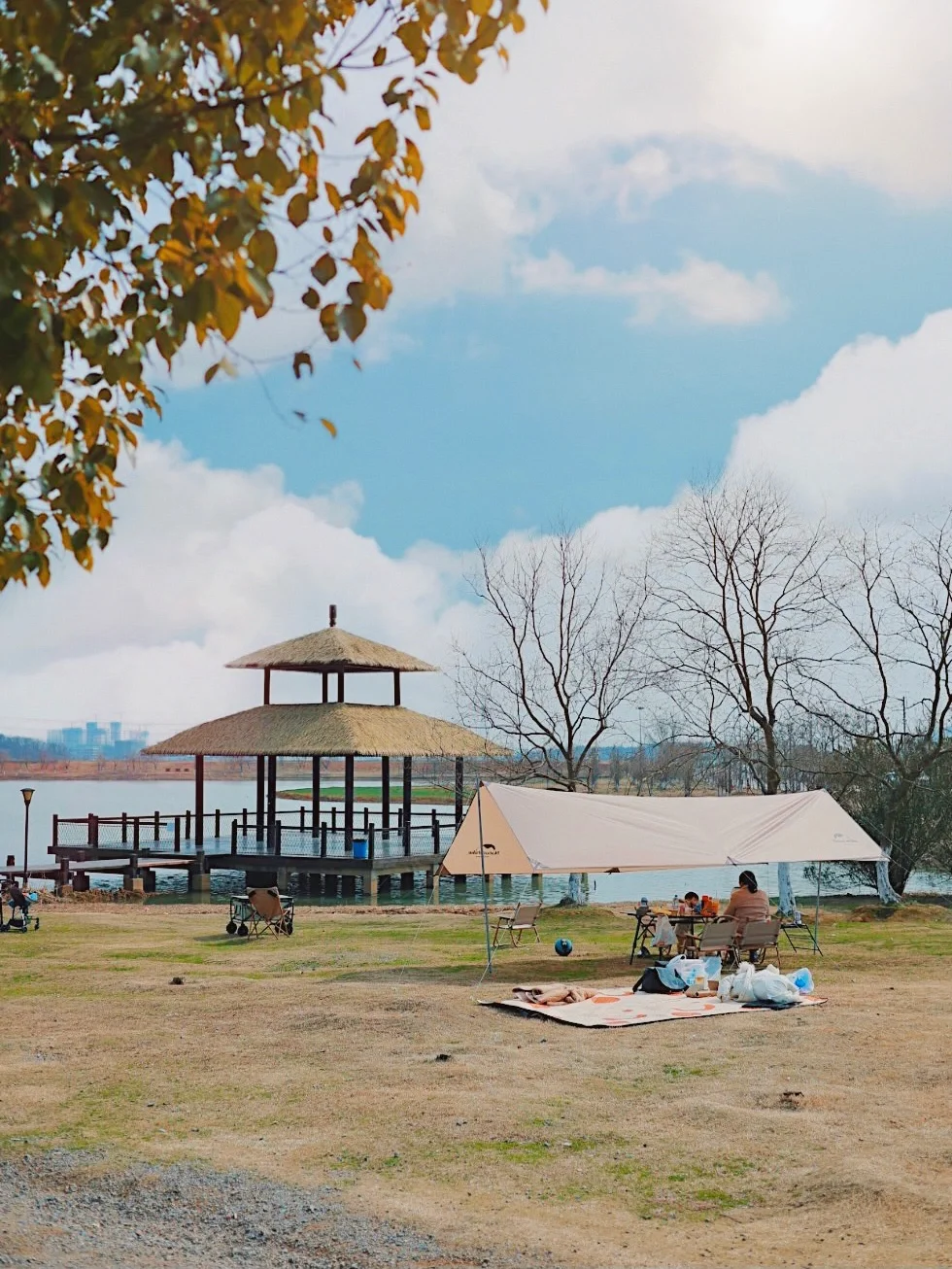 武汉周边游|自驾0.5h抵达免费露营宝藏地⛺️
