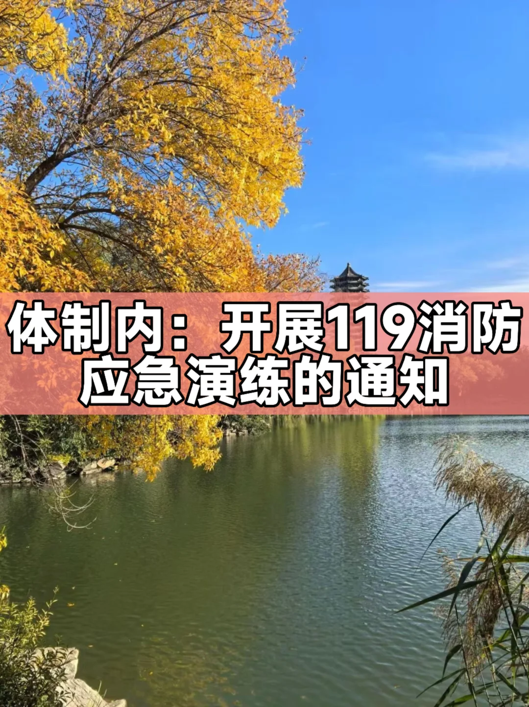 体制内：开展119消防宣传月应急演练的通知