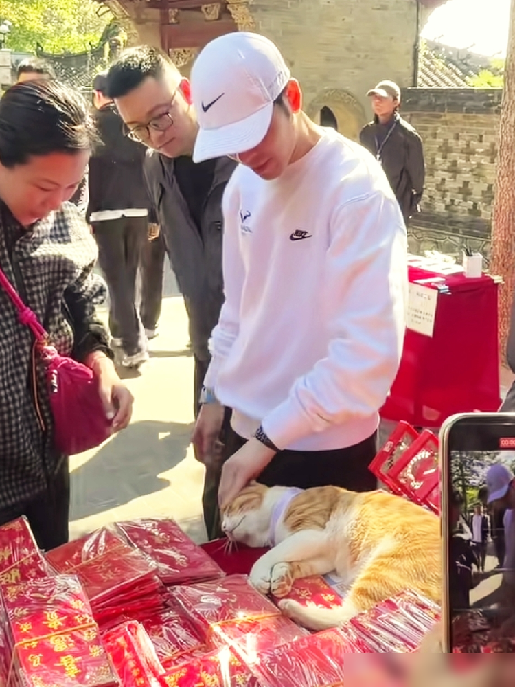 萧敬腾在网球场碰上一只脏兮兮的流浪猫，没犹豫，直接抱回家了。
这猫叫绮绮，是他家第十几只毛孩子了。别人养宠物挑品种，他专门往家里捡没人要的。片场深山里带回来的狗，杭州拍戏救下的猫，全挤在一个屋檐下。
他对着这些吓坏的小东西说过一句话：不要怕，怕什么，这是你们自己的家哎。
最狠的是婚礼上，他把已
