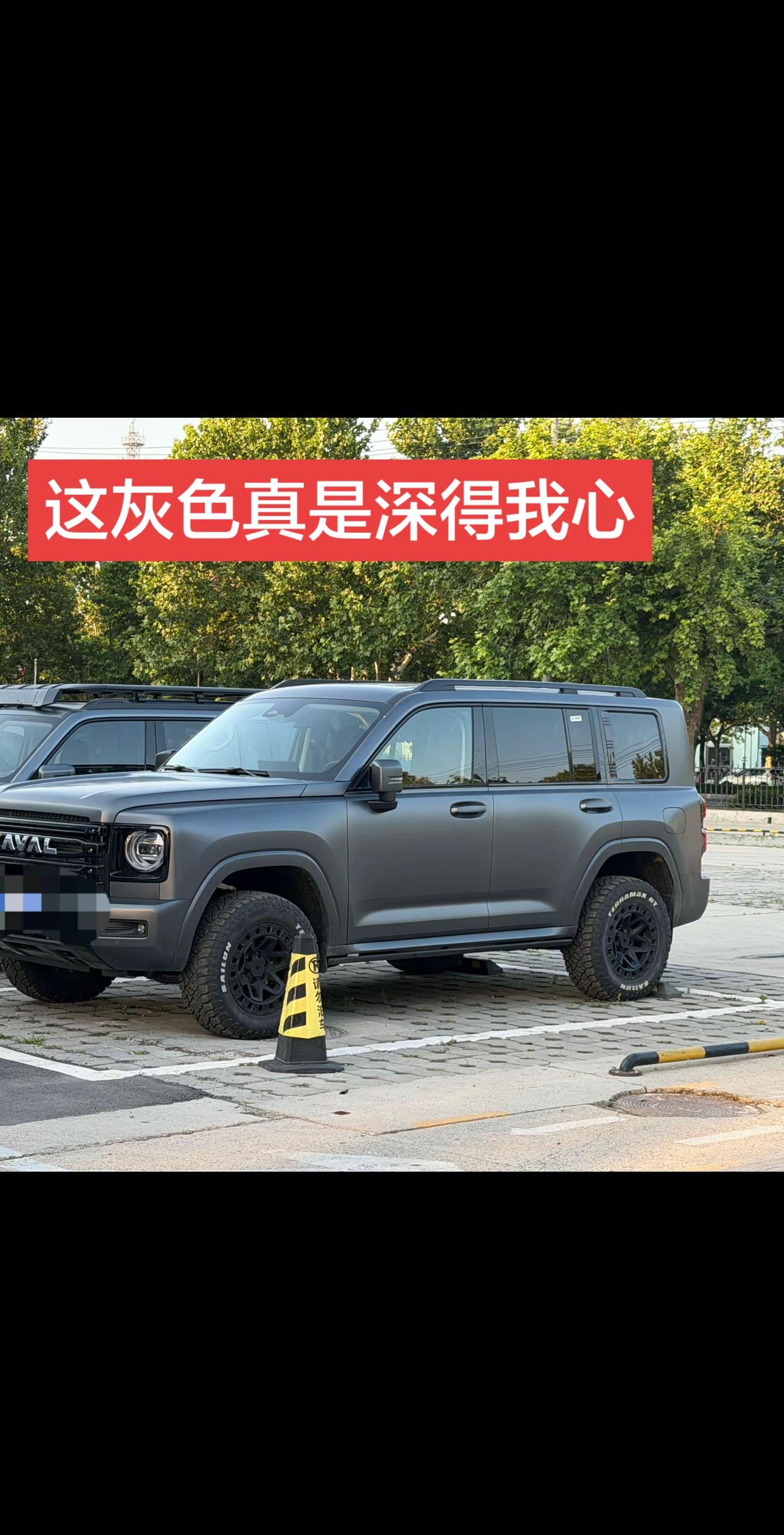 这个灰色真是深得我心，有同款车主吗？