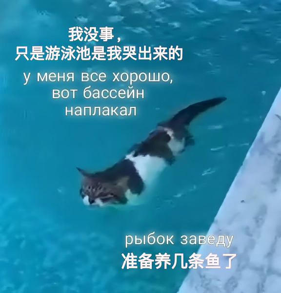 俄罗斯人学中文翻梗图✨