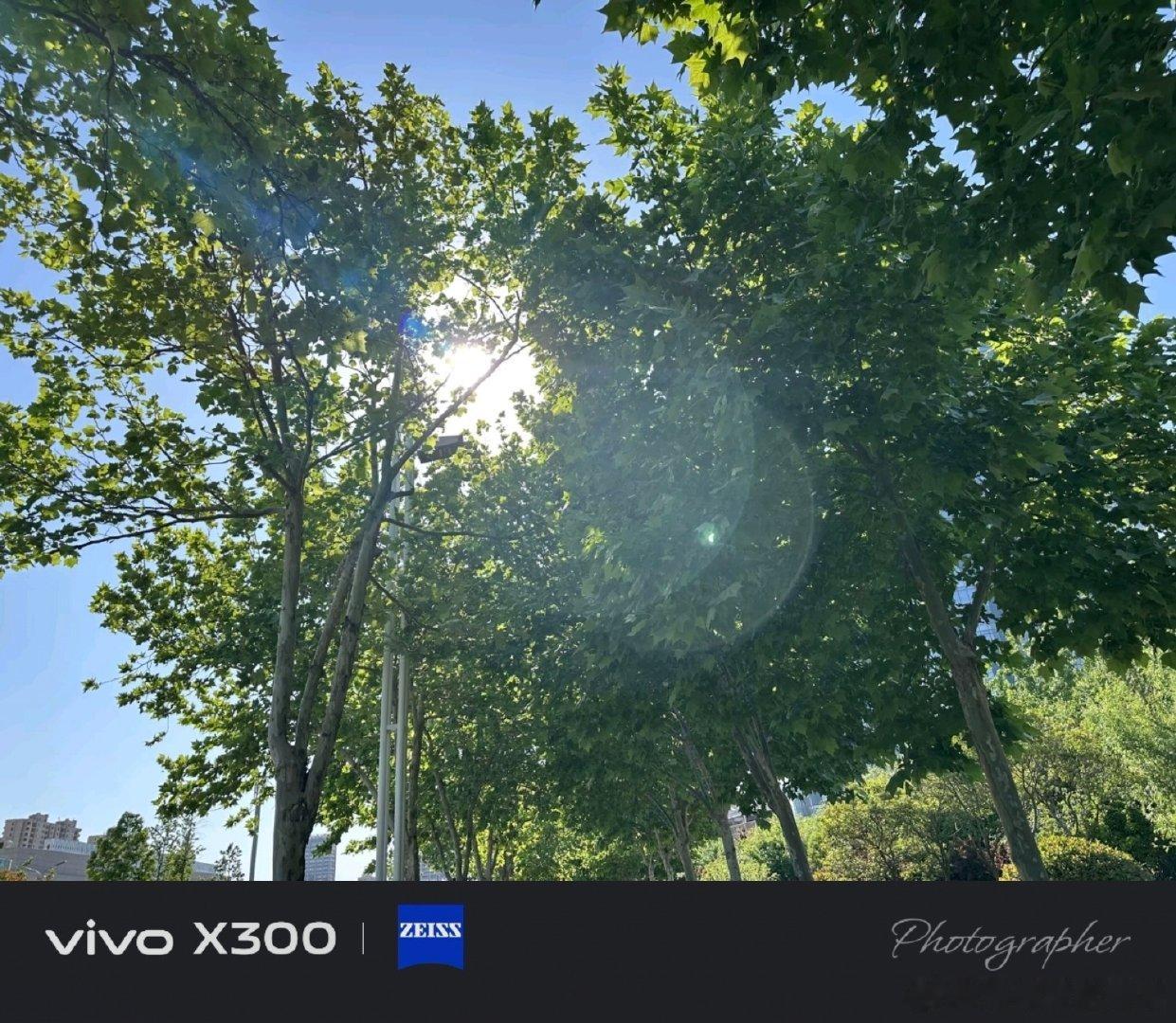 #vivo[超话]##vivo超话# 走在树下抬头撞见阳光，树叶被照得透亮，夏天的美好就藏在这些光影里。 ​