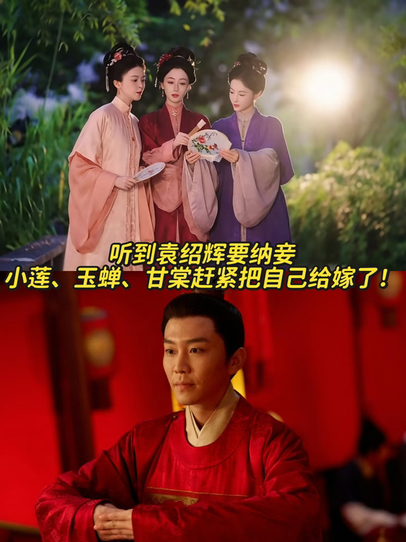 听闻袁绍辉要纳妾，九皋南客坐不住了！