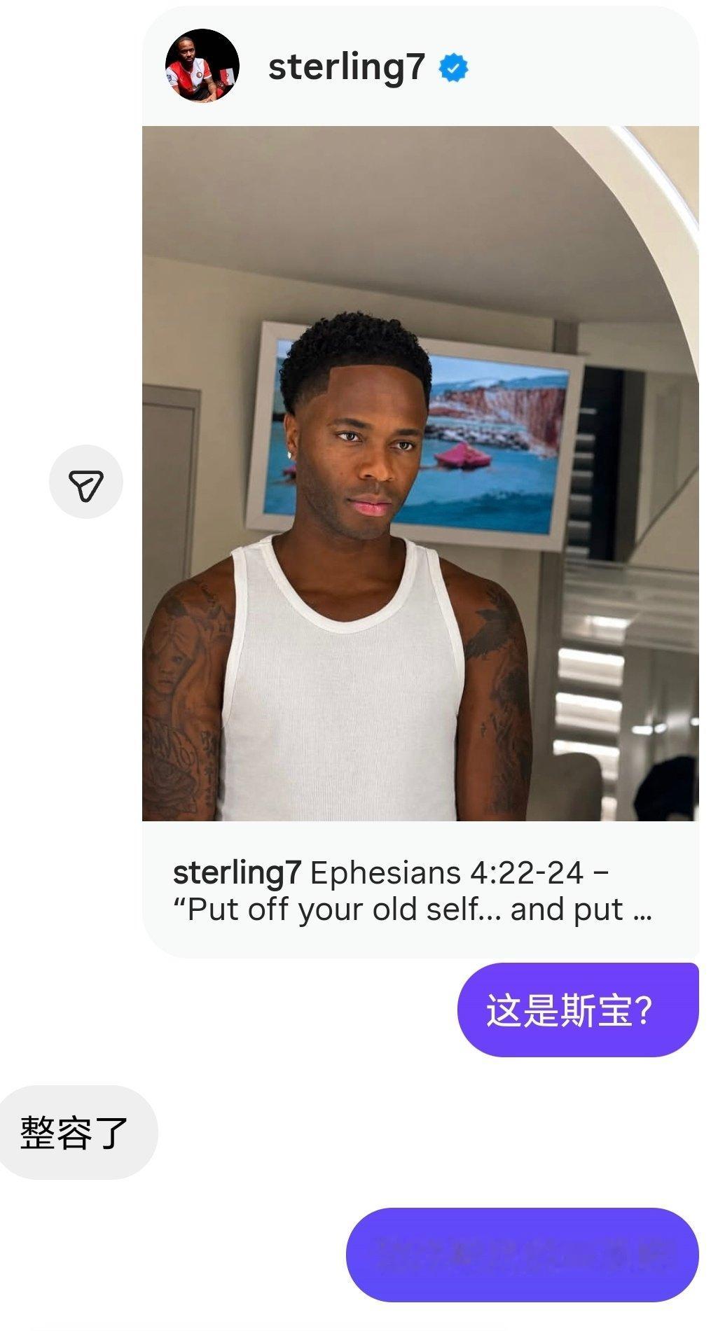 说明斯特林去皇马替维尼休斯踢球了[卡皮巴拉] ​