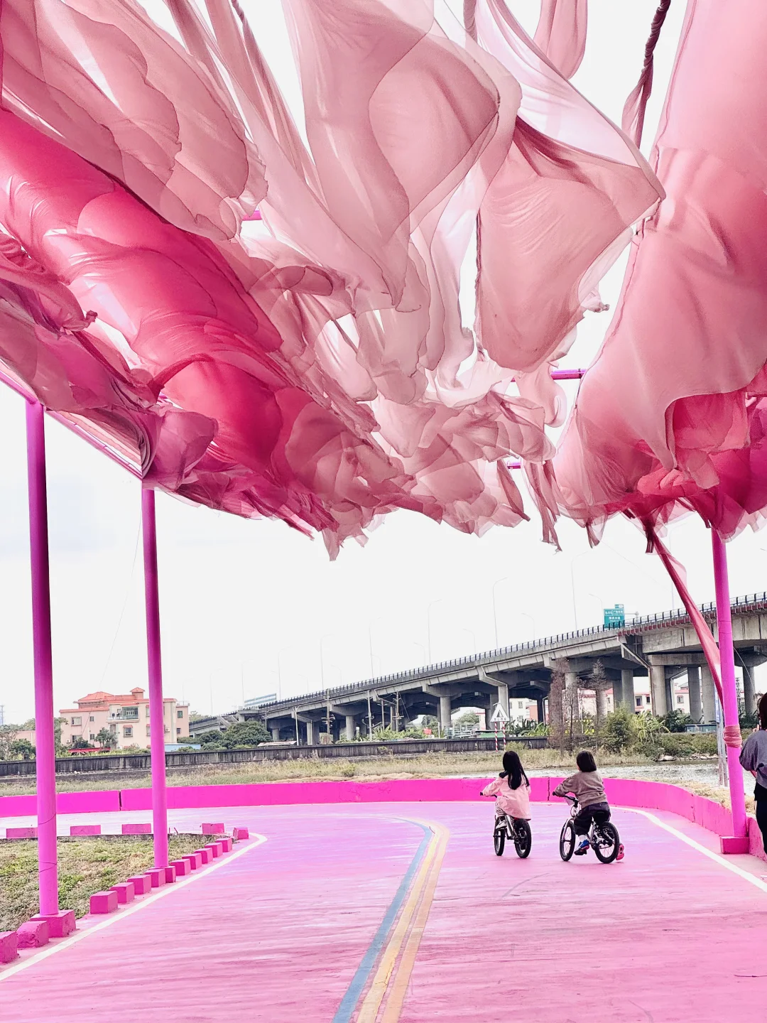 年初三实况！人少！藏在美学乡村的粉色骑行道