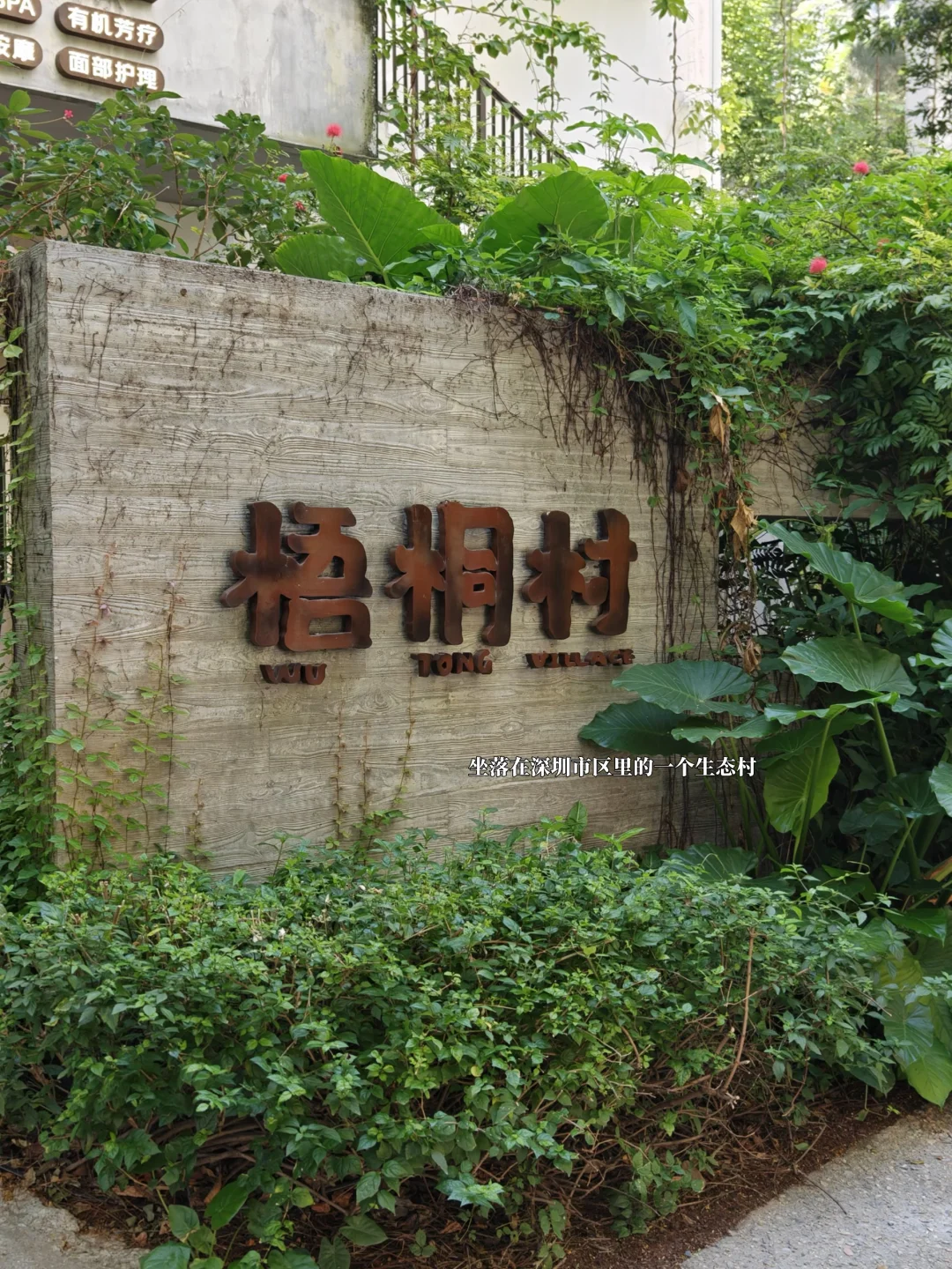 择园阶段，陷入纠结