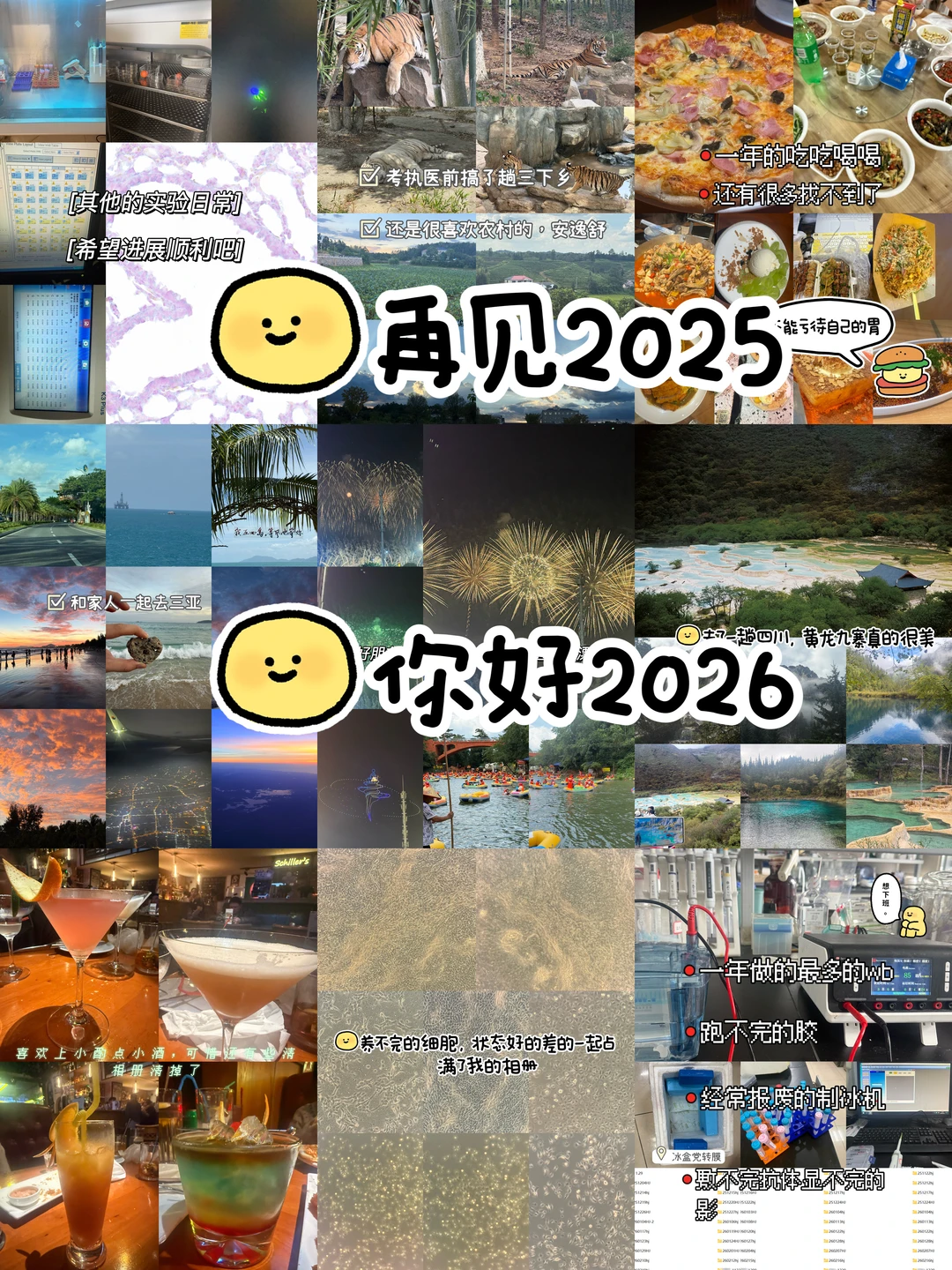 实验室打工人的2025与新年愿望🧧