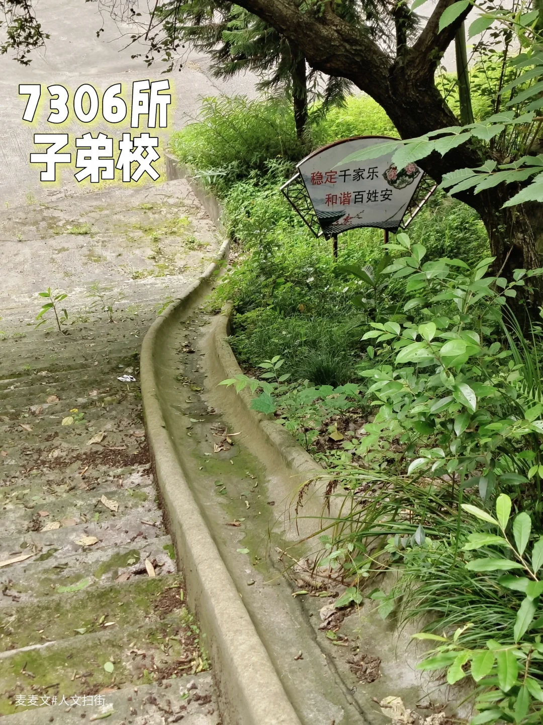 【大竹】石滑梯依旧在，7306少年已走远！