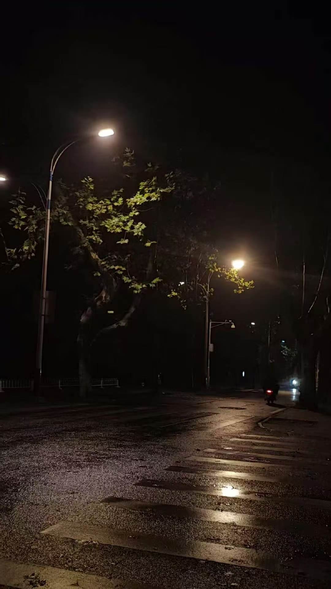 #有个好梦# 路面映着微光，放下一天疲惫，在夜色里休整，所有努力都不会被辜负。晚安～
（图源） ​