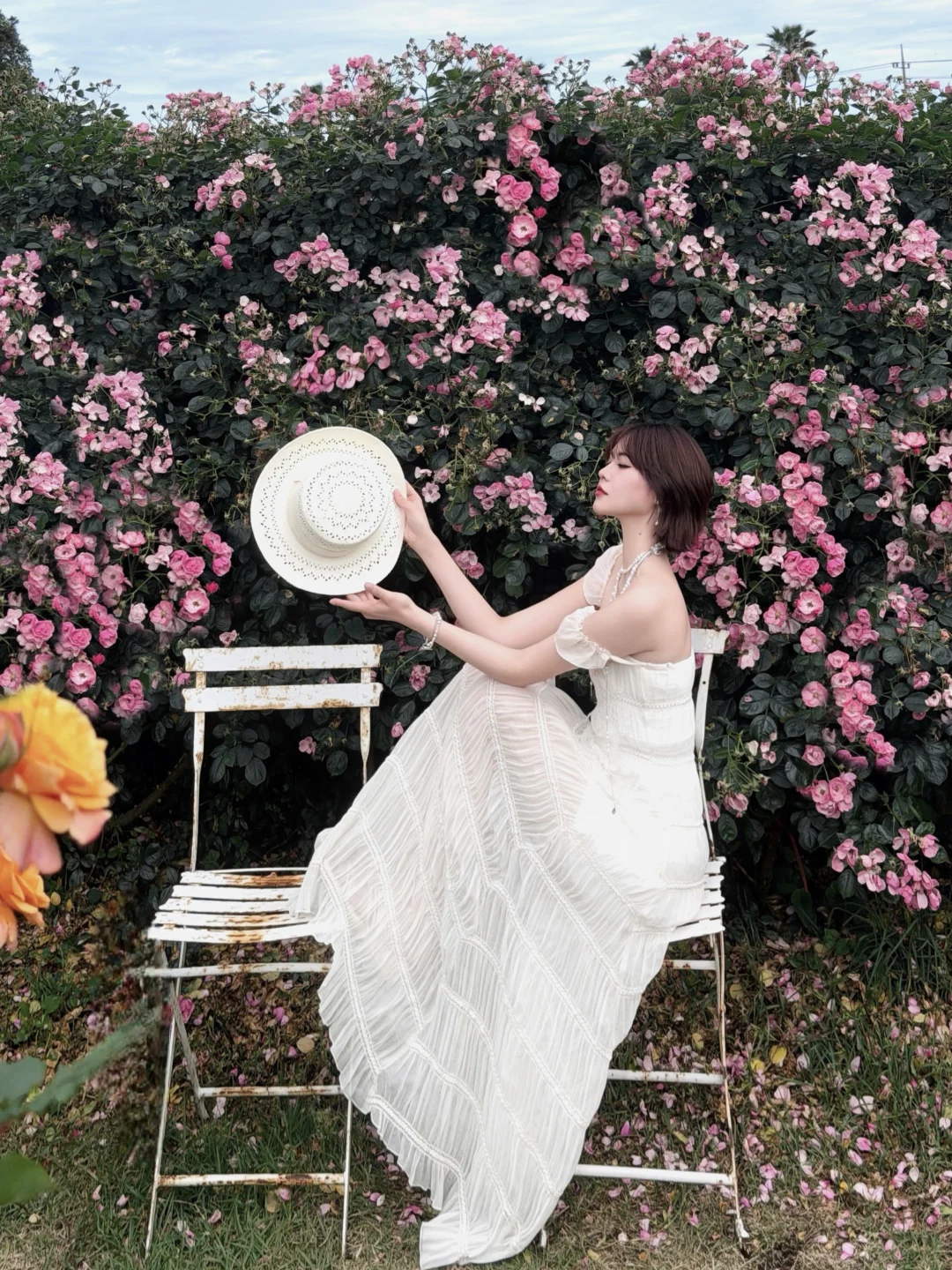 𝑱𝒆𝒋𝒖 🌸 西归浦的美丽玫瑰园