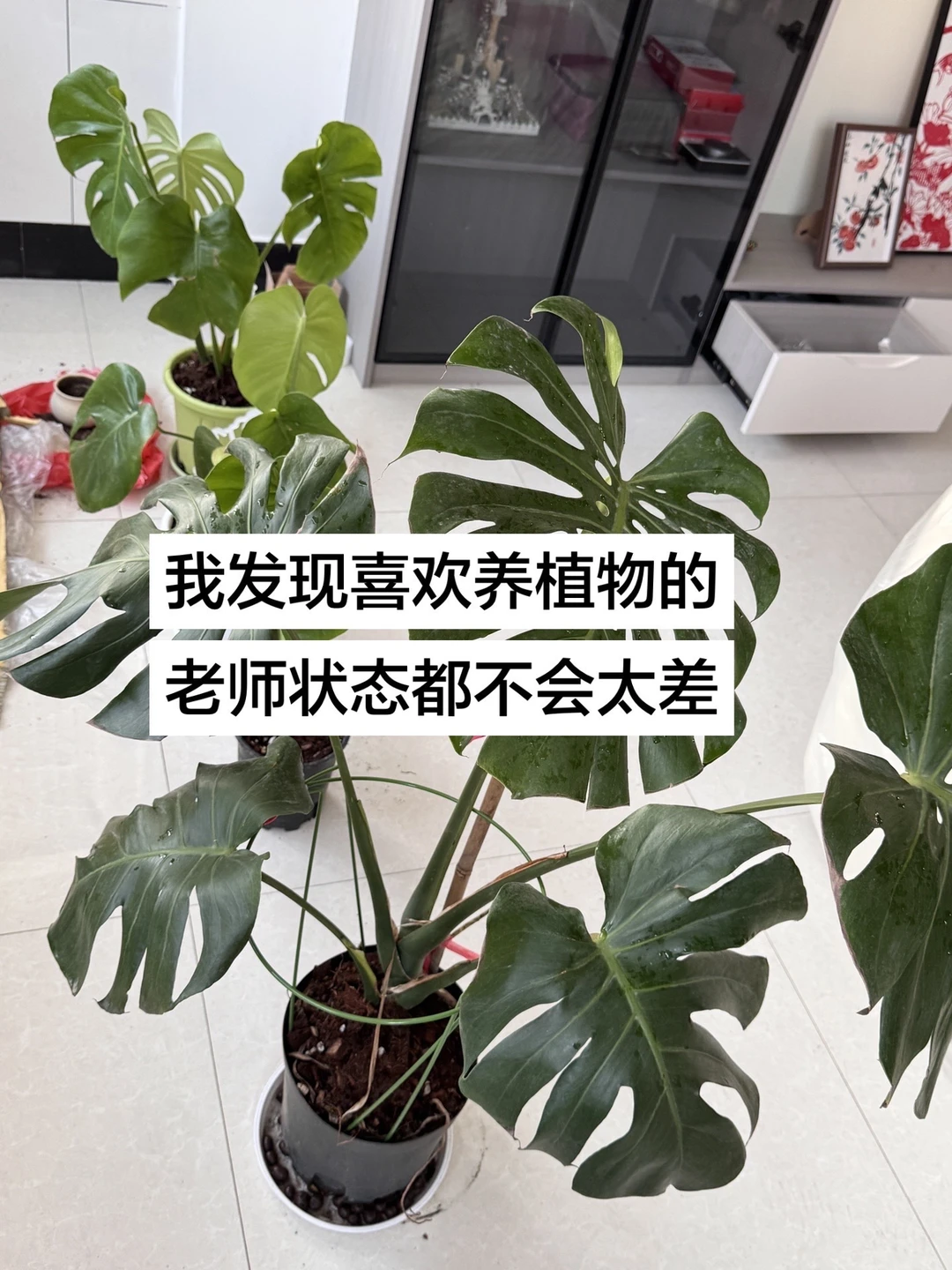 我发现喜欢养植物的老师状态都不会太差